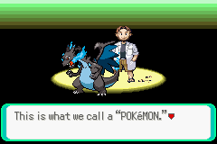 Pokemon Anthony Version